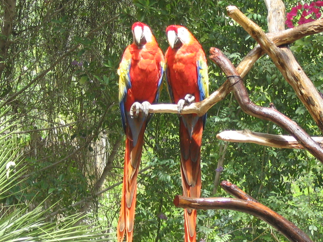 618x457 pixels (303K)